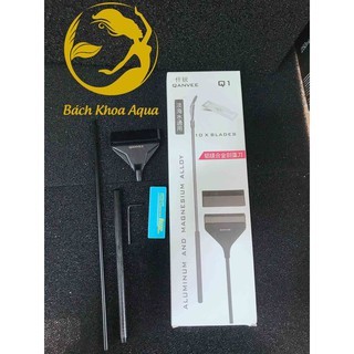 Dao cạo rêu Inox Qanvee Q1 - Q3